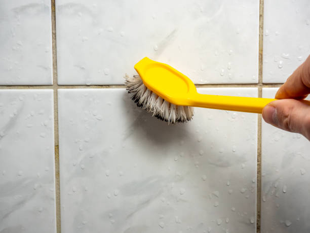 Best Mold Remediation  in Bluefield, VA