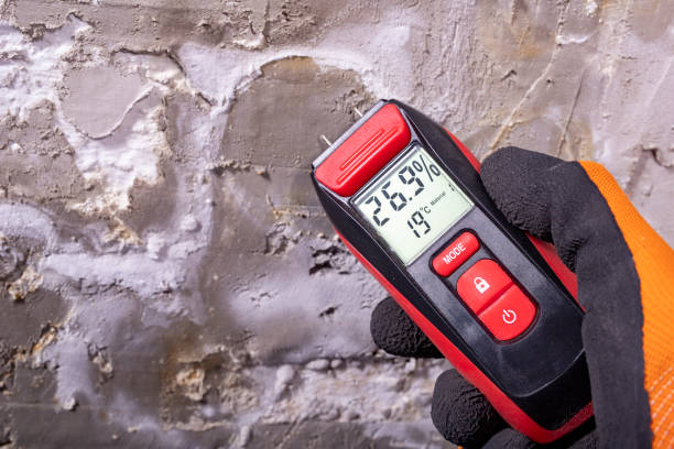 Best Mold Removal Near Me  in Bluefield, VA
