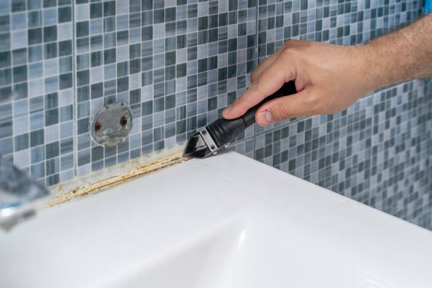 Best Black Mold Removal  in Bluefield, VA